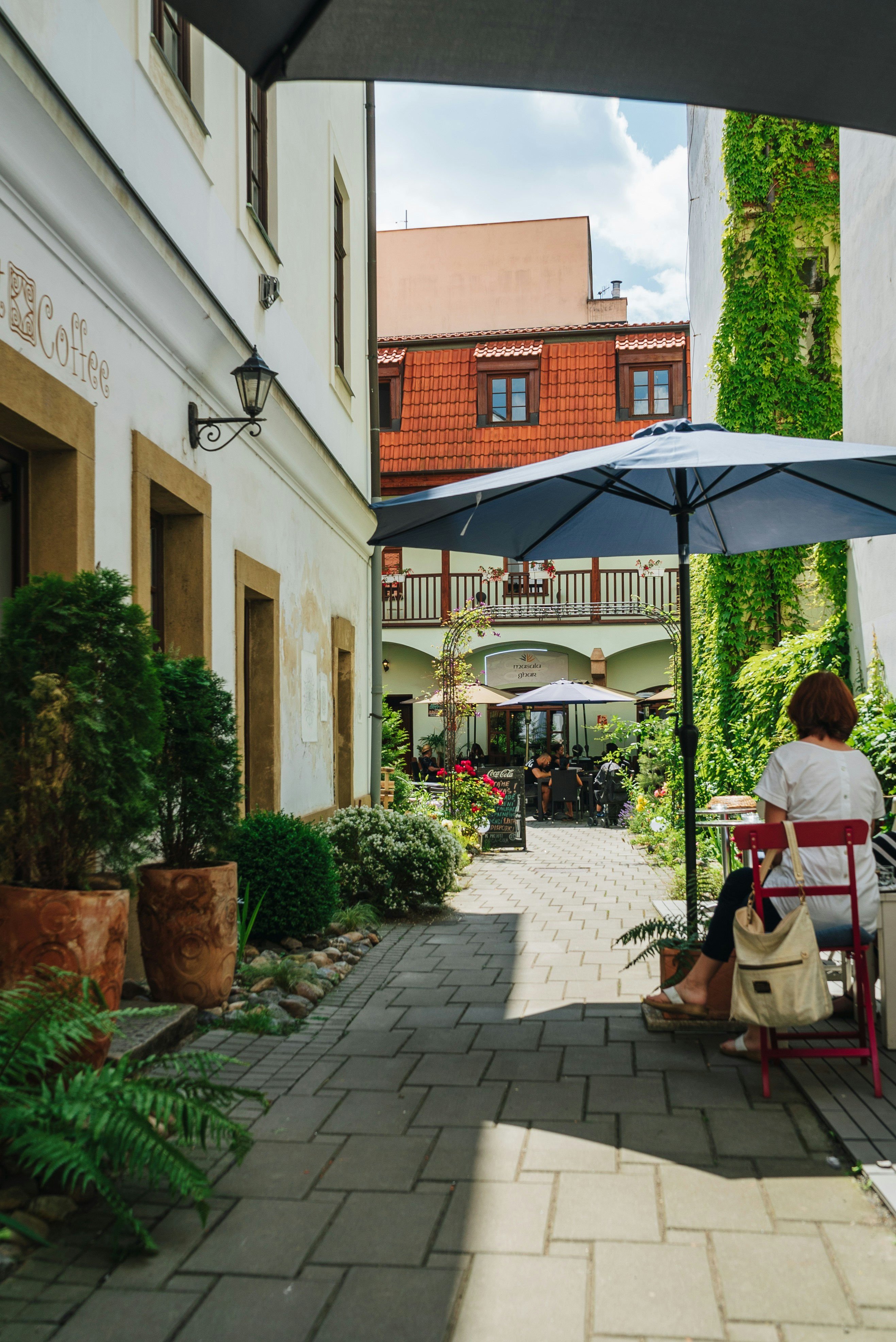 Pohled na zahrádku navečer